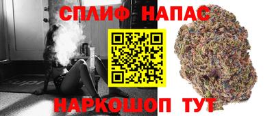 гидра Рязань