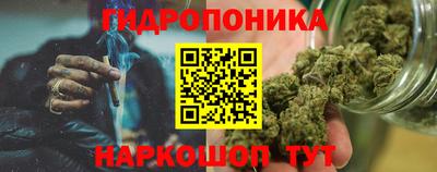 гидра Рязань