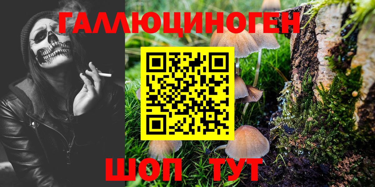 Псилоцибиновые грибы Cubensis  Вход с VPN  Сальск 